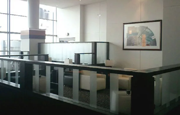 All Nippon Airways - Dulles Airport VIP Lounge