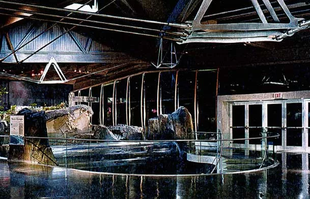Vancouver Aquarium - Pacific Canada Pavilion